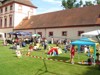 2006